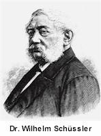 dr-wilhelm-schuessler